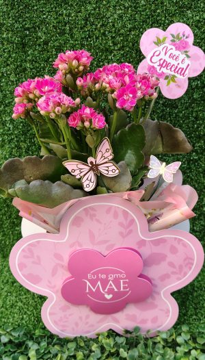 Box floweer rosa