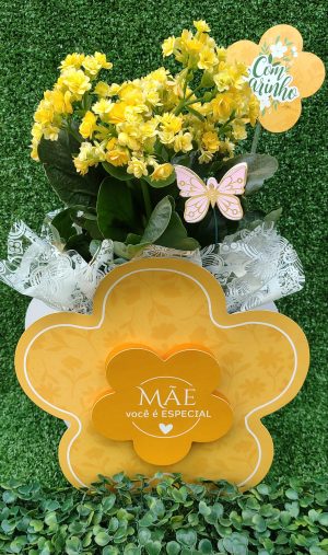 Box floweer amarelo